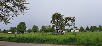 20240424_131139.jpg