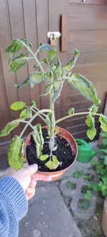 20240424_122052.webp
