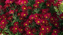 20230906_133247.webp