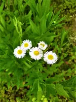 IMG_20210606_143153.webp