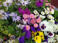 IMG_20220516_155229_1.jpg