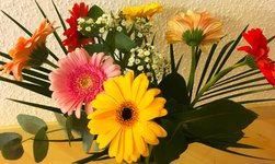 IMG_1249.JPG