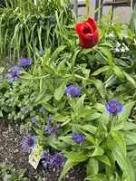 IMG_5084.webp