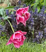 IMG_5079.webp