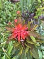 IMG_5078.jpeg