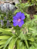 IMG_5069.jpeg
