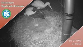 IMG_1468.jpeg