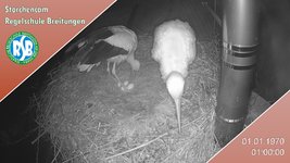 IMG_1469.jpeg