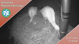 IMG_1470.jpeg