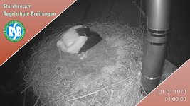 IMG_1471.jpeg