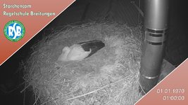 IMG_1472.jpeg