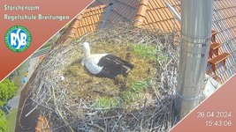 IMG_1473.jpeg
