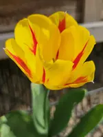 20240426_160529.jpg