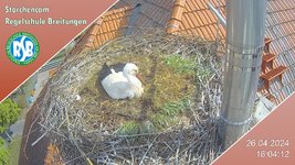 IMG_1476.jpeg