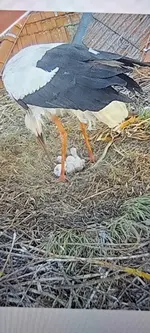 20240426_193106.webp