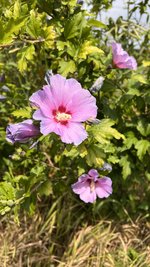 IMG_3304.jpeg
