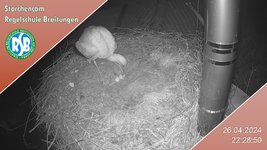 IMG_1478.jpeg