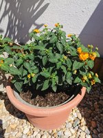 IMG_20240427_121714.jpg