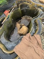 IMG_7827.jpeg