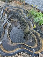 IMG_7824.jpeg