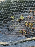 IMG_7825.jpeg