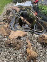 IMG_7826.jpeg