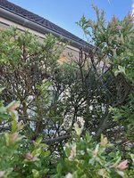 IMG_8089.jpeg