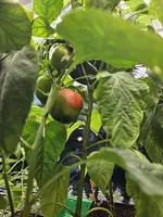 20240425_201907.webp