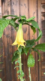 IMG_9864.jpeg