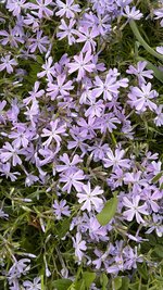 IMG_9875.jpeg