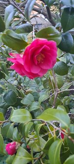 20240429_204218.jpg
