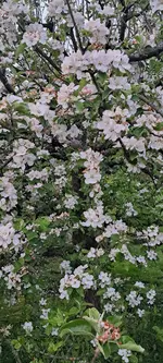 20240429_204346.webp