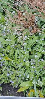 20240429_204402.webp