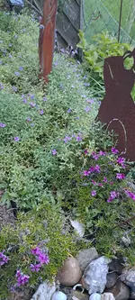 20240429_204507.webp