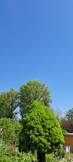 20240430_122616.jpg