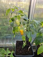 20240430_191234.jpg