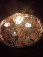 IMG_20240430_211243.jpg