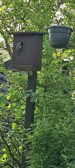 20240430_160159.jpg