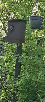20240430_160159.webp