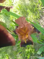 IMG_20240430_151125_1.webp