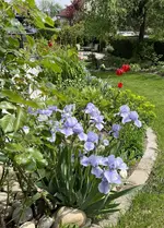 IMG_5123.webp