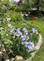 IMG_5123.jpeg