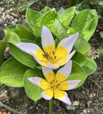 IMG_5128.jpeg