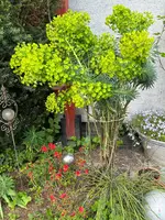 IMG_4984.jpeg