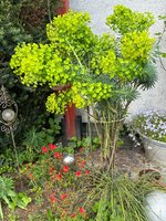 IMG_4984.jpeg