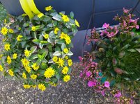 IMG_20240502_095358.jpg