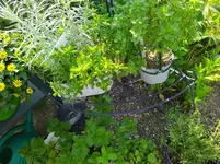 IMG_20240502_095444.jpg