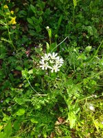 IMG_20240502_095644.jpg