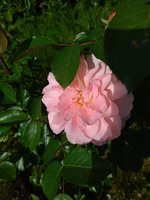 IMG_20240502_095516.jpg