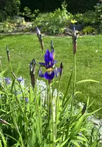 IMG_5153.webp